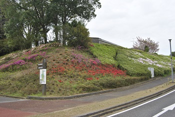 昭和の森入口付近