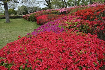 太陽の広場（北側）