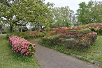太陽の広場（サイクリングコース）付近