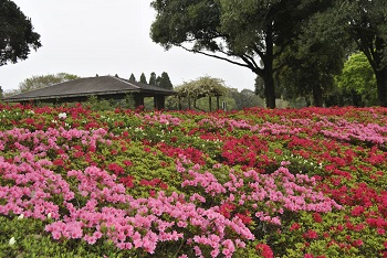 太陽の広場（四阿付近の様子）