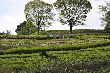 昭和の森入り口