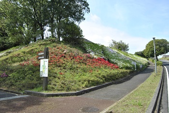 昭和の森入り口