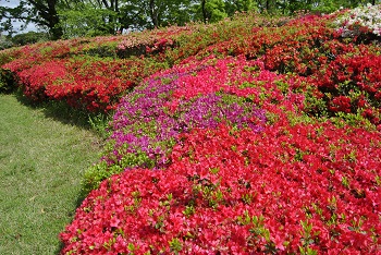 太陽の広場西側