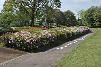 太陽の広場サイクリング