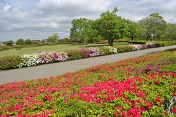 太陽の広場園路