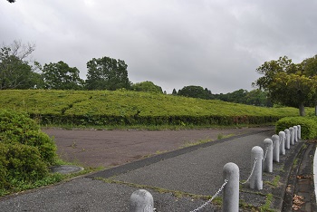 第2駐車場へと向かう園路沿い