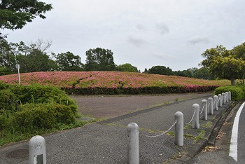 第2駐車場へと向かう園路