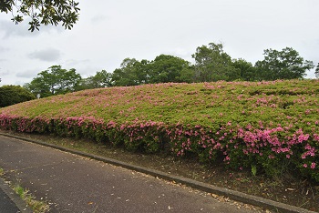 第2駐車場へと向かう園路