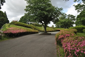 展望台下の様子