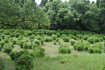 サイクリングコースからの様子