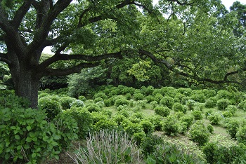 サイクリングコースからの様子