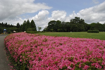 冒険広場付近の様子