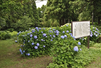 展望台付近の様子