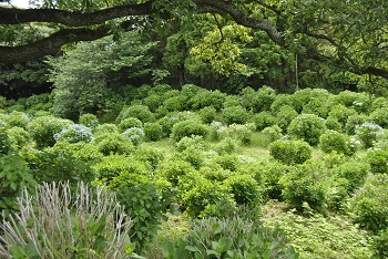 サイクリングコースからの様子