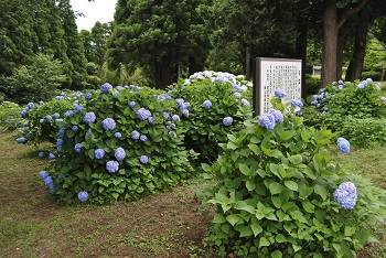 展望台付近の様子