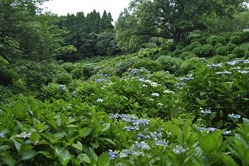 展望台付近からの様子