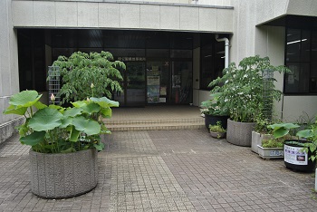 緑公園緑地事務所（昭和の森）