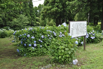 展望台付近の様子