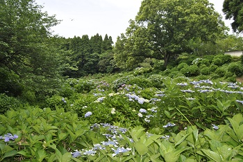 展望台付近からの様子