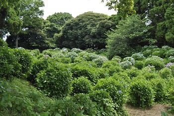 サイクリングコースからの様子