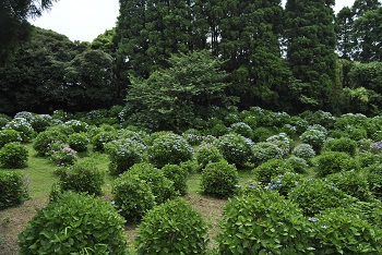 サイクリングコースからの様子