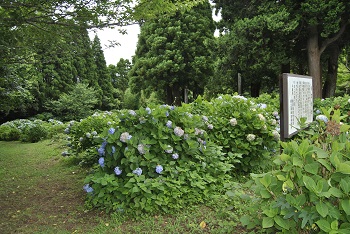 展望台付近の様子