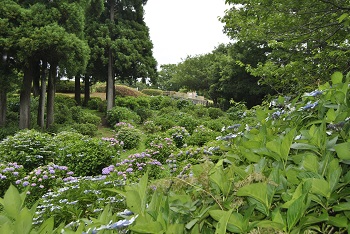 展望台付近からの様子