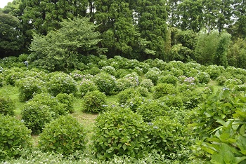 サイクリングコースからの様子