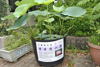 緑公園緑地事務所玄関前