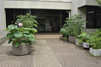 緑公園緑地事務所玄関前