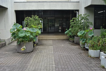 緑公園緑地事務所玄関前