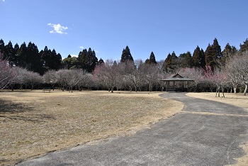 四阿付近の様子