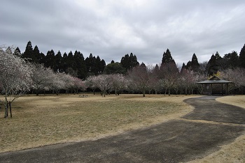 四阿付近の様子