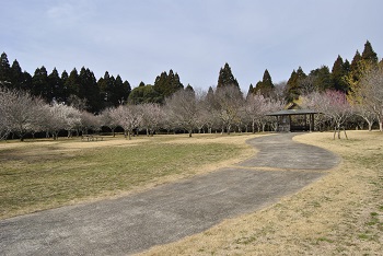 四阿付近の様子