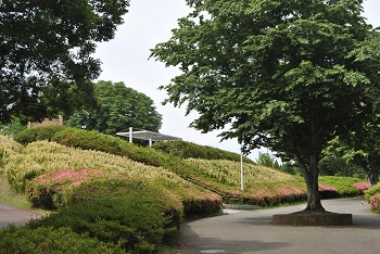 展望台付近の様子