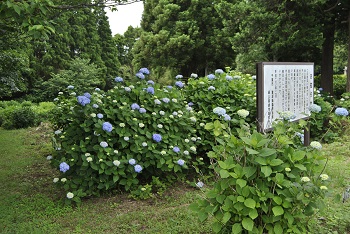 展望台付近の様子