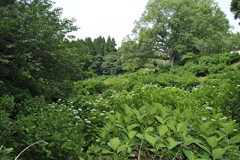 展望台付近の様子