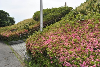 展望台付近の様子