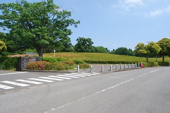 第2駐車場へと向かう園路脇