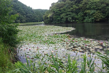第3駐車場側（道路付近）