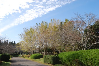 お花見広場手前