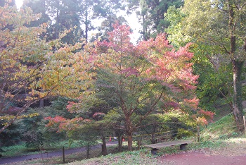 ローラー滑り台付近