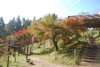 ローラー滑り台付近