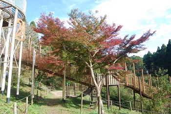 ローラー滑り台付近