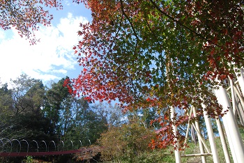 ローラー滑り台付近