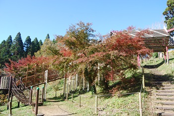 ローラー滑り台付近