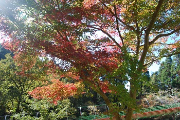 ローラー滑り台付近