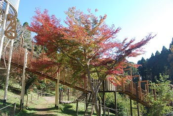 ローラー滑り台付近