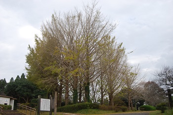 お花見広場手前