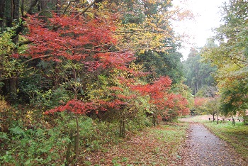 ローラー滑り台付近